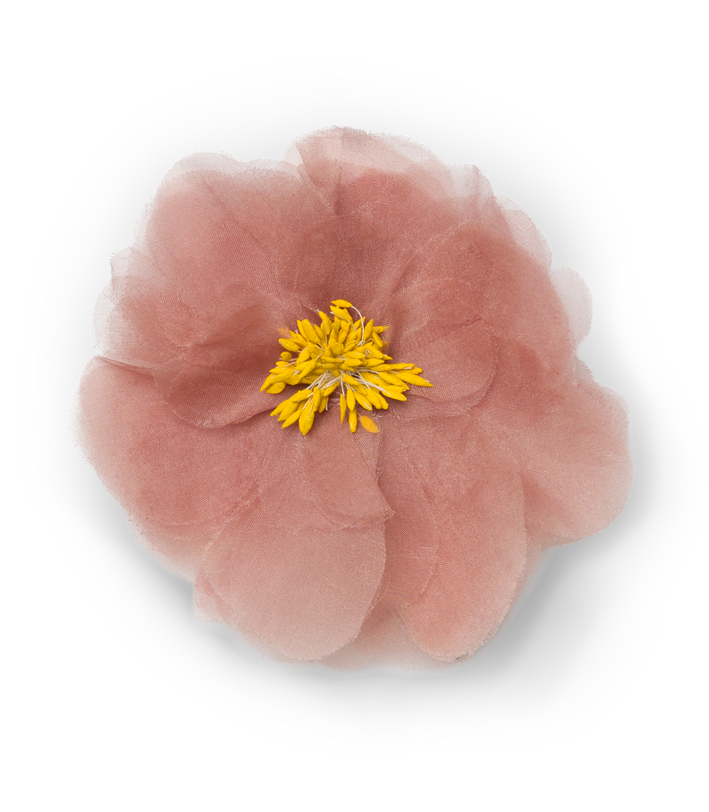 DANI BARRETTE -- APRICOT ORGANZA